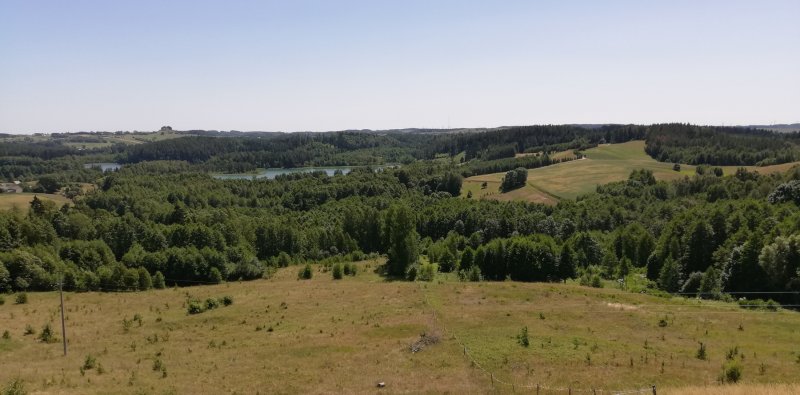 Widok na Cisową Górę